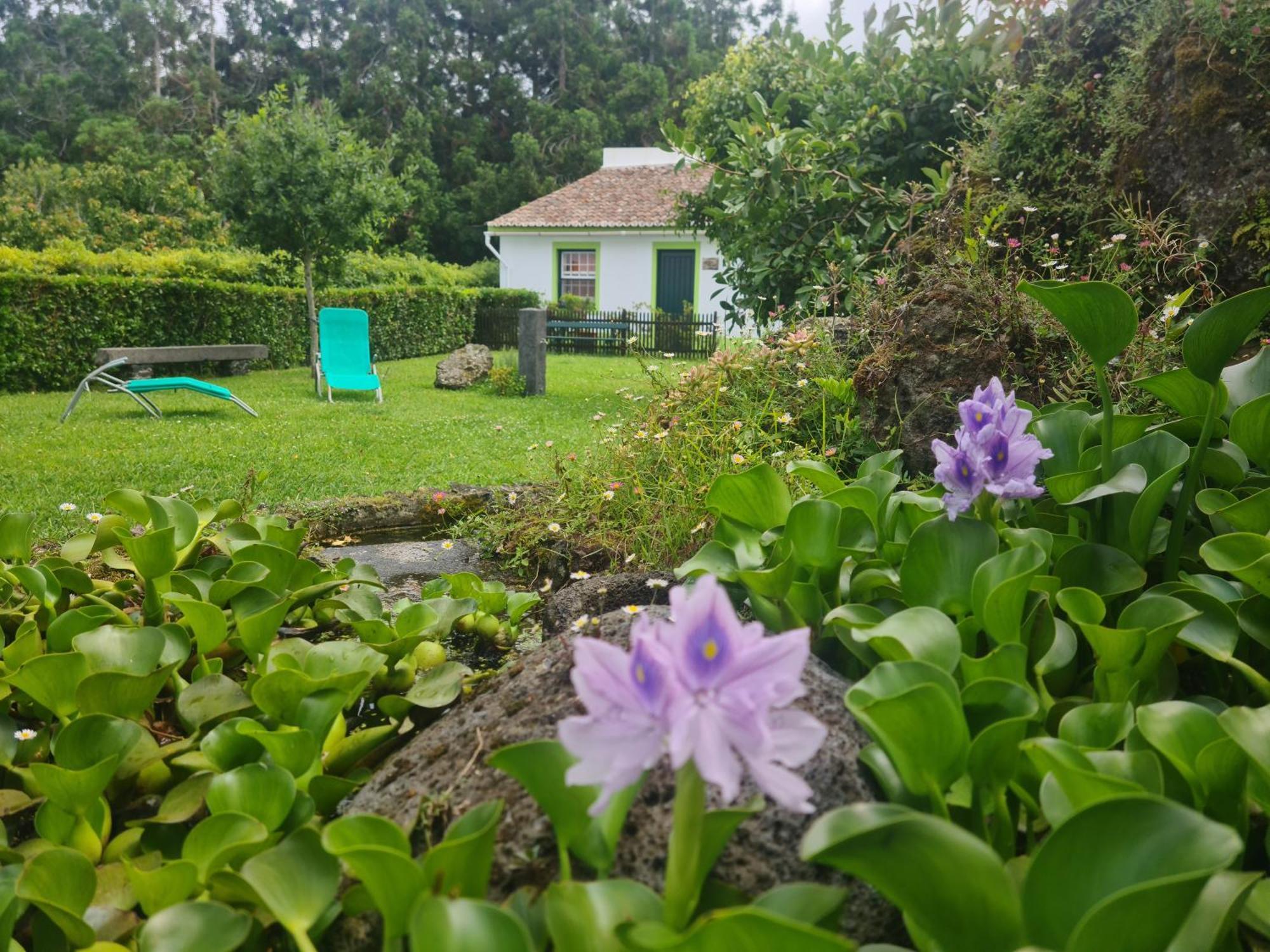 Stonewood Lodge Al São Vicente Ferreira المظهر الخارجي الصورة