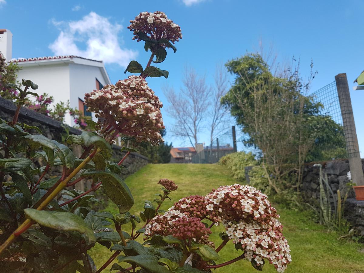 Stonewood Lodge Al São Vicente Ferreira المظهر الخارجي الصورة