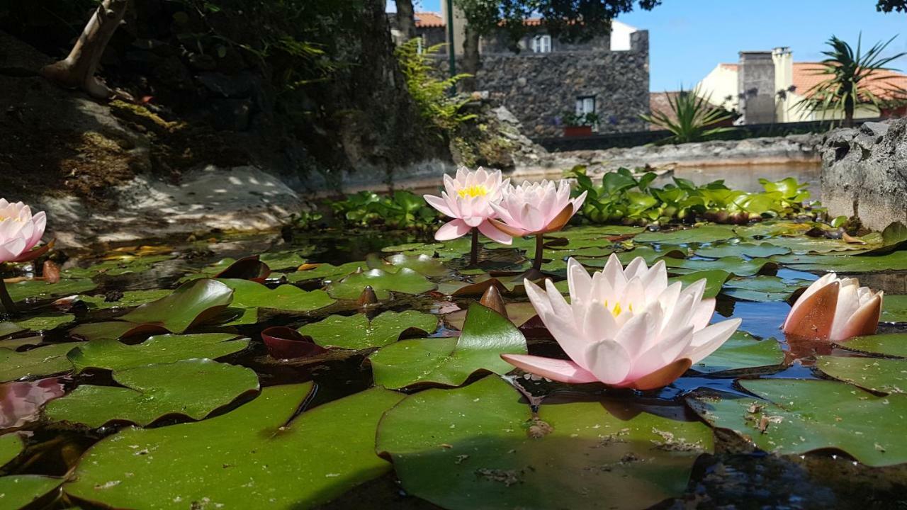 Stonewood Lodge Al São Vicente Ferreira المظهر الخارجي الصورة